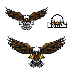 Eagle vector illustration for logo