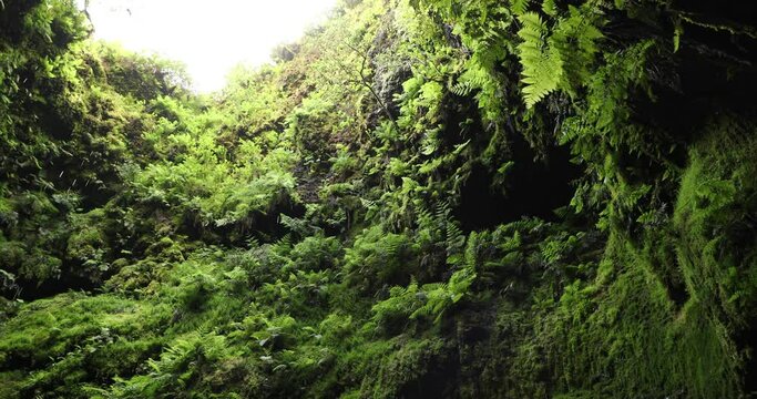 Lava Tube Of Algar do Carv&atilde;o In The Island Of Terceira In Portugal. Low Angle
