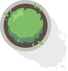 Plant, flower in pot top view. Colored  png icons for projects, plans, interior.. Object and element for apartments, living room, bedroom, kitchen, bathroom. Floor plan
