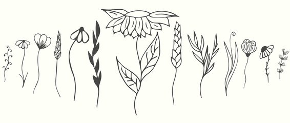 Fototapeta na wymiar Floral branches for logo or decoration. Minimalistic wedding flowers, grass and leaves for invitation, save the date card. Hand drawing. 