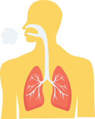 coronavirus body lungs and breath