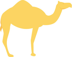 desert camel and animal