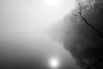 Misty morning at the lake. Mystical landscape in the fog.
