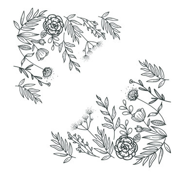 Plant and leaf. Hand sketched vector vintage elements ( laurels, leaves, flowers, swirls and feathers). Wild and free. Perfect for invitations, greeting cards, quotes, blogs, Wedding Frames, posters
