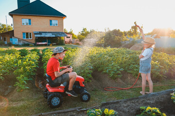 Sibling children frolic splashing with a water hose in the backyard in the garden on summer...