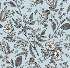 Seamless pattern. Beautiful fabric blooming realistic isolated flowers. Vintage background. Set Jasmine Petunia Croton wildflowers. Wallpaper baroque. Drawing engraving. Vector victorian illustration © Наталья Лобенко