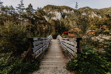 Fototapeta na wymiar Slowenien | Haus mit Brücke im Wald