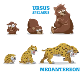 Fototapeten Bears and leopards. Vector illustration of pleistocene baby, young and adult wild animals bear and leopard © VECTOR FUN