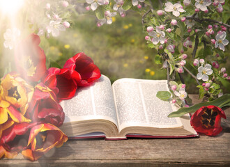 Still life from ancient book and lush boquet