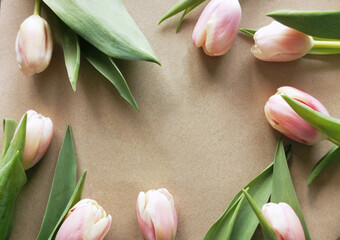 Tulipany ramka tło