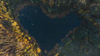 Heart-shaped lake during colourful autumn sunset, Czech Republic. Romantic landscape. Blue heart in contrast with colourful forest