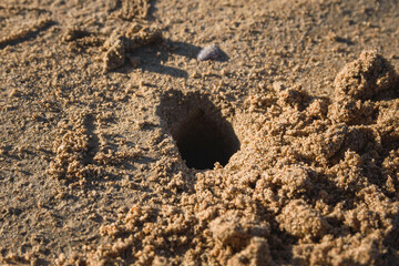 Hole in the sand, close up. made by Sand bubbler crab on the Long Beach Koh Lanta, Thailand.