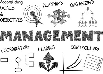 MANAGEMENT graphic notes on transparent background