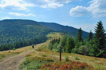 Podskały, Gorce Mountains, Western Beskids, Poland