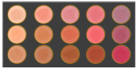 Cosmetic Eyeshadow Palette Brushing Skin Tone