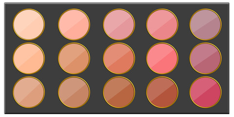 Cosmetic Eyeshadow Palette Shading Skin Tone