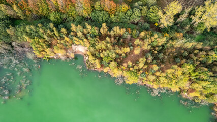 Aerial top view of country road in green fall forest and blue lake. Rural landscape in Belgium. Drone photography from above. High quality photo