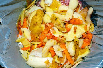 vegetable peelings in a bag