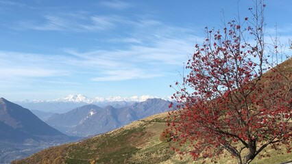 montagna, paesaggio, croci, cielo, neve, natura, inverno, tramonto, alba, nube, veduta, viaggiare, cime, sole, alpi, panorama, luce, vallata, nebbia, escursioni, fiori, castelli, chiese, animali