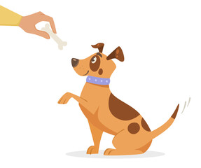 Hand giving bone to cute puppy character vector illustration. Cartoon drawing of owner playing with or training adorable comic dog on white background. Pets or domestic animals, love, care concept