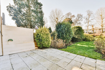 Empty yard with green bushes in autumn