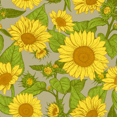 Beautiful seamless pattern with hand drawn lush Sunflowers flowers on a light khaki background. Vector illustration of Helianthus flower. Floral wildflowers elements for textile design