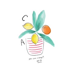 summer fruit illustration