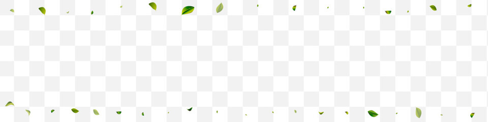 Olive Leaves Realistic White Transparent