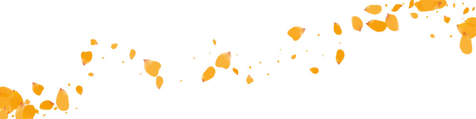 Yellow Peach Falling Vector Transparent Panoramic