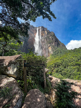 The "Angel Falls" in National park Canaima, venezuela