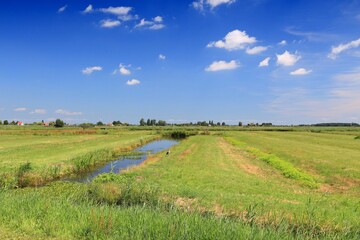 Fototapeta na wymiar Polder landscape in Zaandijk, Netherlands