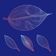 Hand-Drawn Vector Abstract Leaf Set in Pink, Blue, and Navy