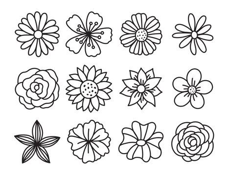 42 Simple and Easy Flower Drawings for Beginners - Cartoon District | Flower  drawing, Easy flower drawings, Flower art drawing