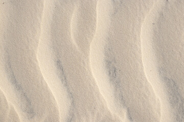 Fototapeta na wymiar natural texture of beige beach sand