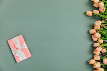 Lots of tulip colors with gift on blue as background