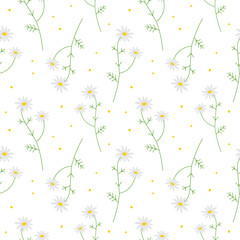 Cute seamless repeating pattern with daisies on a white background, floral motif. Ornamental background.For wrapping paper, fabric and product design