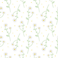 Cute seamless repeating pattern with daisies on a white background, floral motif. Ornamental background.For wrapping paper, fabric and product design