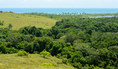 Estrada para Barra Grande - Bahia