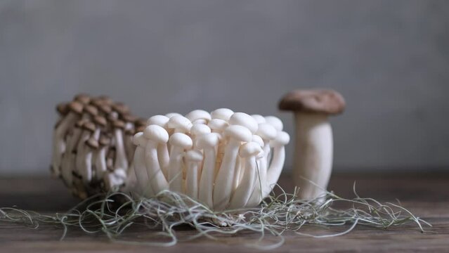 Various edible Asian mushrooms. Set of vegetables. Dark photo natural light.