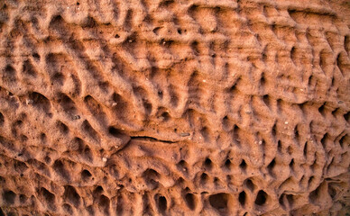 Honeybcomb weathering on a colorful sandstone