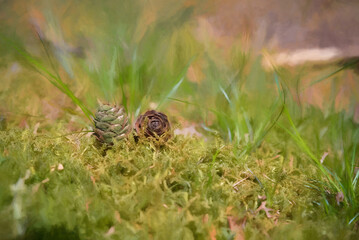 Digital painting of young conifer pine cone shoots isolated in a natural environment.