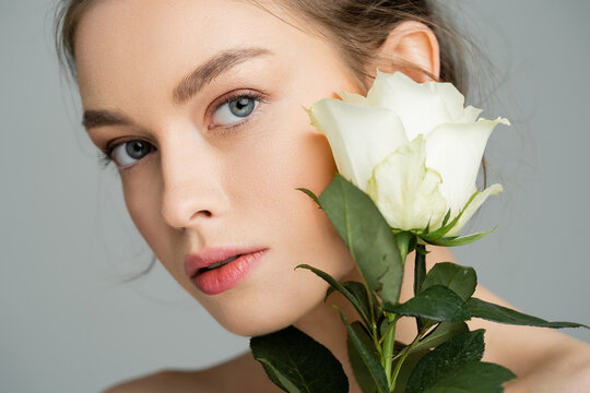portrait of pretty woman with natural makeup on perfect face looking at camera near white rose isolated on grey.