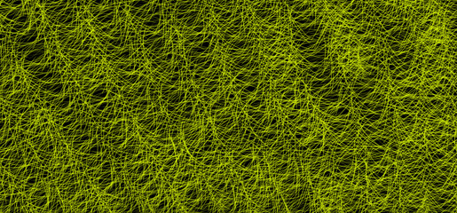 Green grass texture background in spring season