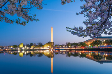 Washington Monument,  Bureau of Engraving and Printing building, and Tidal Basin at sunrise during National Cherry Blossom Festival in Washington, DC, USA