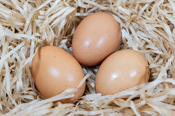 eggs in a basket