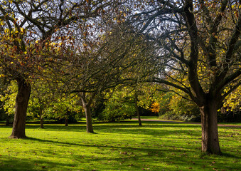 Hyde Park is a park located in London, United Kingdom. It is the largest of the four royal parks.