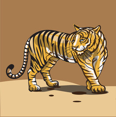 tiger standing looking to the left

