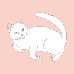 Cute white cat posing on pastel pink background. Hand drawn cat. Sketch. Vector art