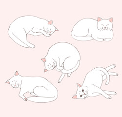 Cute white cat lies in different positions. Set of cat positions. Cat posing. Cats. Sketch. Vector art.