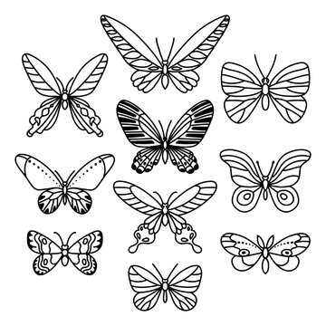 Set of beautiful butterflies. Isolated black clip art on white background. Vector insect illustration.